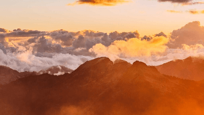 Backpack - professional stock photography