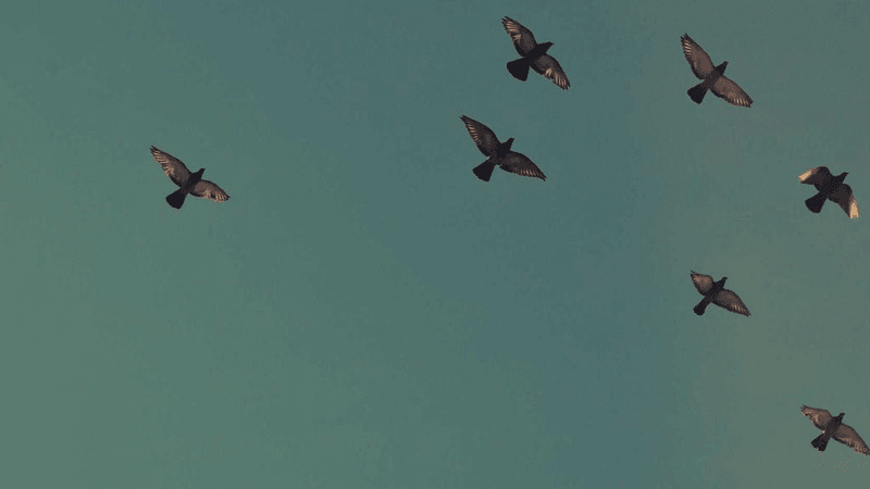 Bridge - professional stock photography