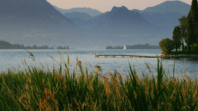 Campfire - professional stock photography