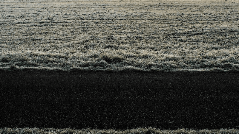 Campfire - professional stock photography