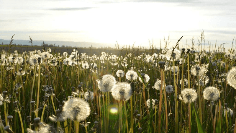 City - professional stock photography