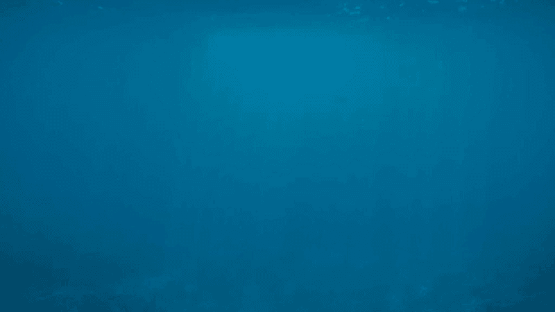 Compass - professional stock photography