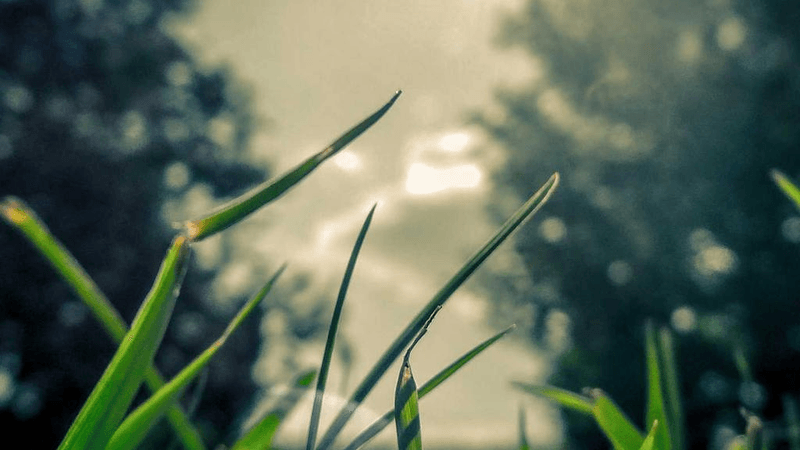 Desert - professional stock photography