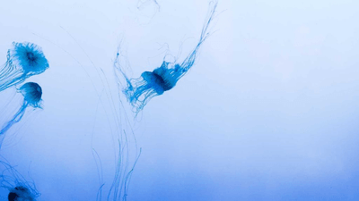 Desert - professional stock photography