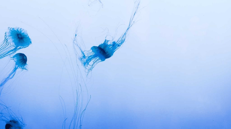 Desert - professional stock photography