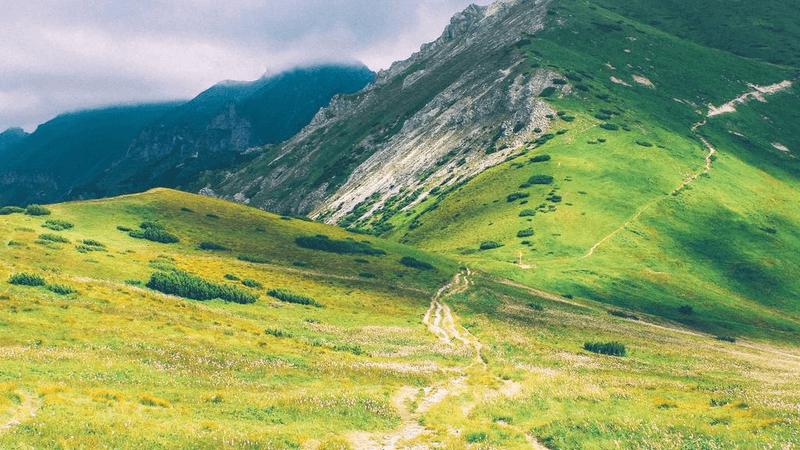 Island - professional stock photography