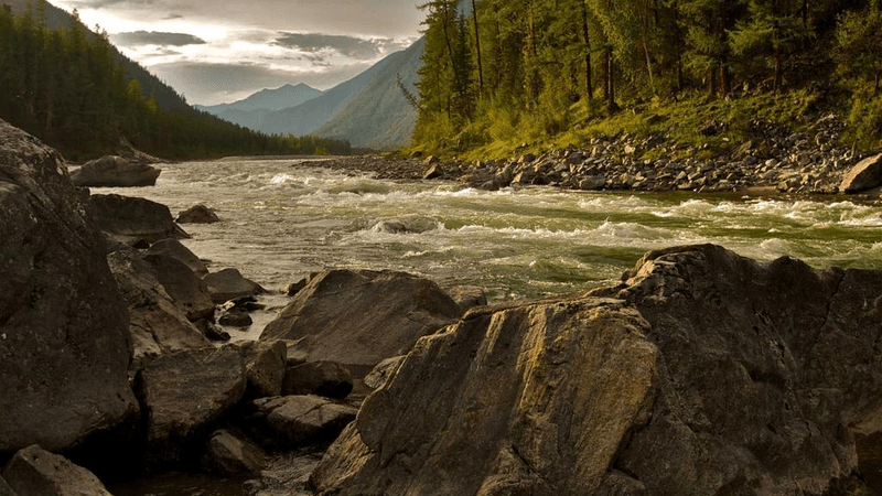 Lake - professional stock photography