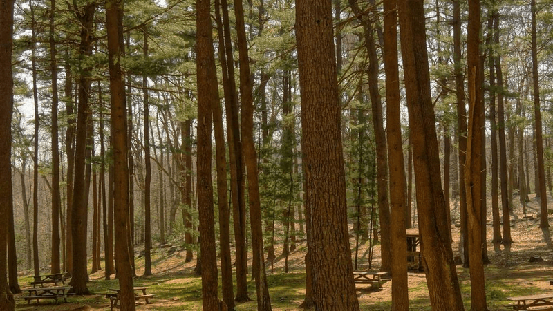 Map - professional stock photography