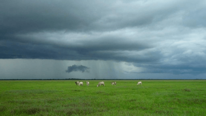 Mountain - professional stock photography