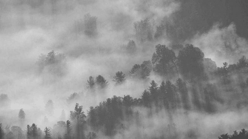 Passport - professional stock photography