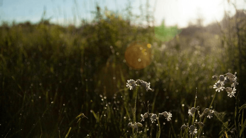 Street - professional stock photography