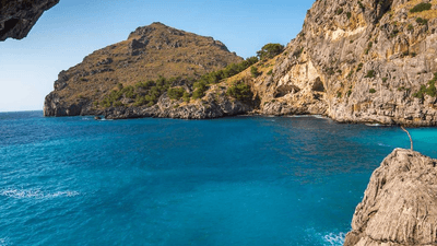 Train - professional stock photography